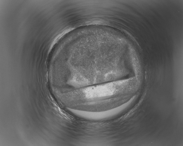 X0000076391117200611031648