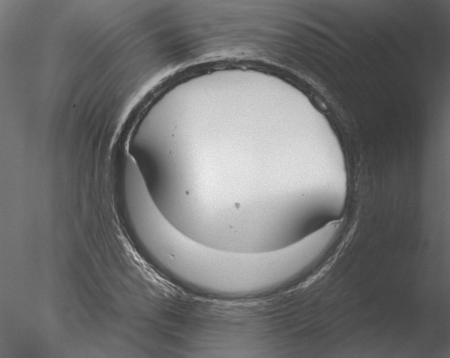 X0000076391118200611031648