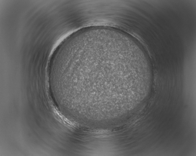 X0000076391120200611031648