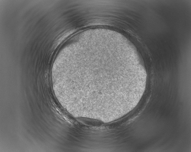 X0000076391121200611031648