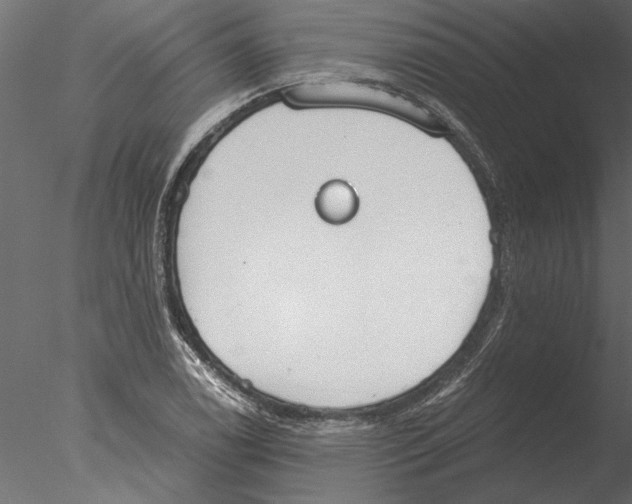 X0000076391122200611031648