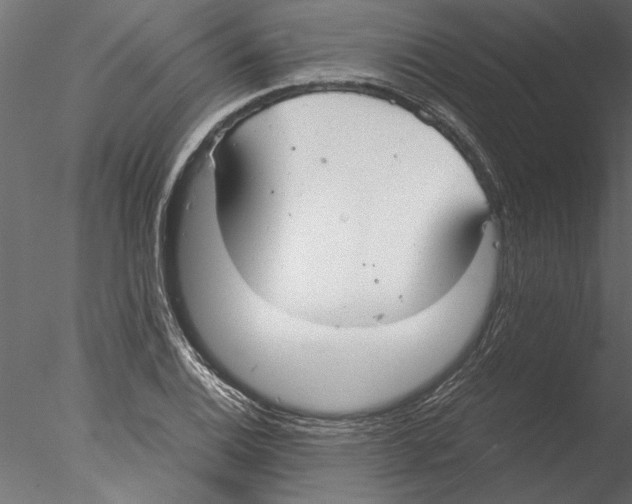 X0000076391124200611031648