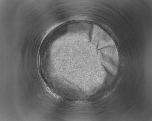 X0000076391125200611031648