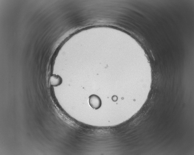 X0000076391126200611031648