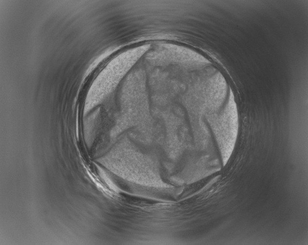 X0000076391127200611031648