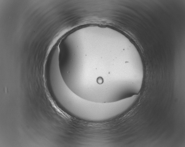 X0000076391128200611031648