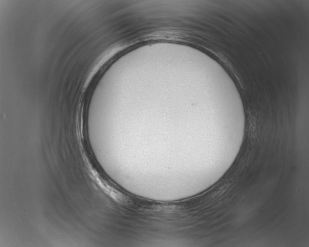 X0000076391131200611031648