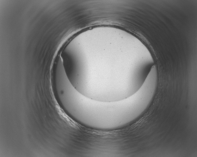 X0000076391132200611031648