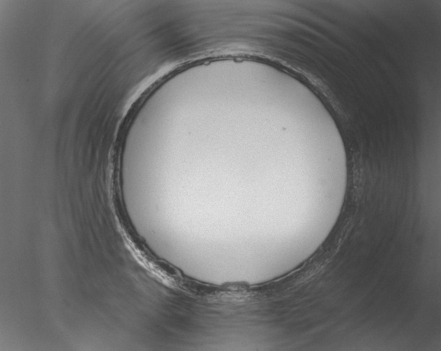 X0000076391134200611031648