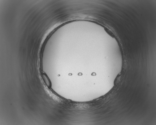 X0000076391136200611031648