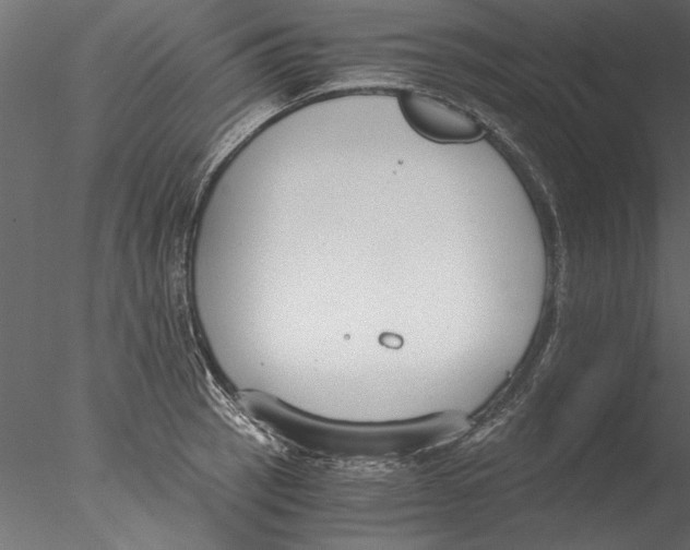 X0000076391137200611031648