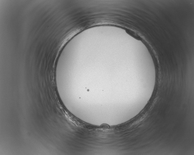 X0000076391145200611031648