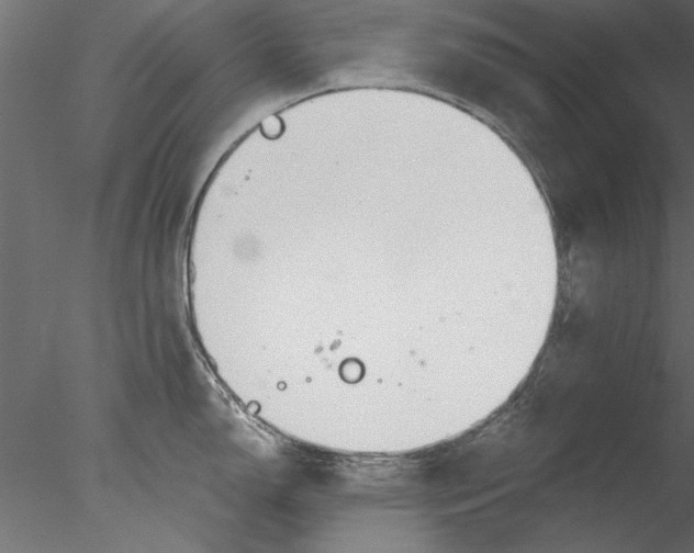 X0000076391150200611031649