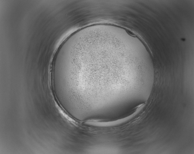 X0000076391151200611031649