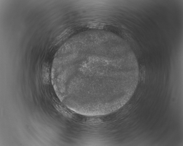 X0000076391154200611031648