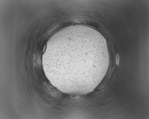 X0000076391155200611031648