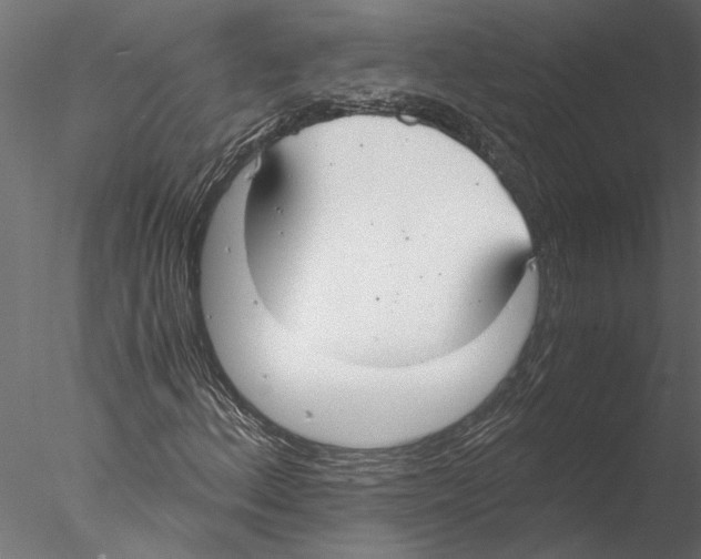 X0000076391156200611031648