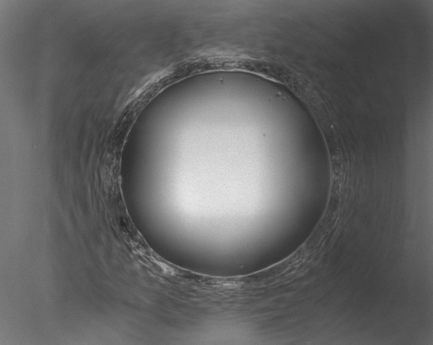 X0000076391157200611031648