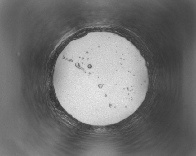 X0000076391160200611031648