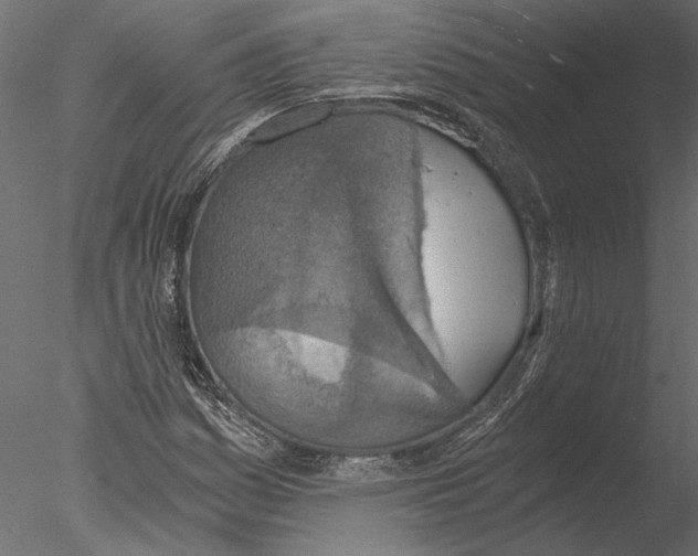 X0000076391161200611031648