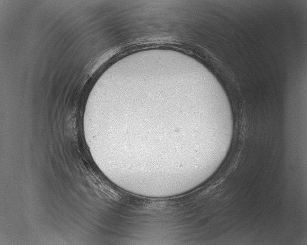 X0000076391162200611031648