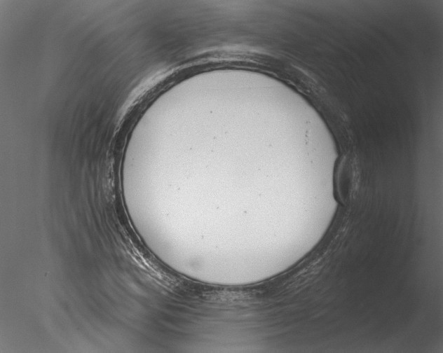 X0000076391164200611031648