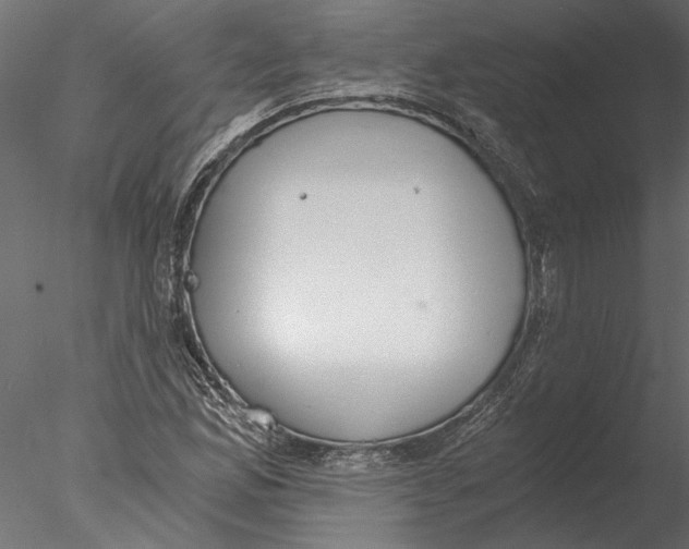 X0000076391165200611031648