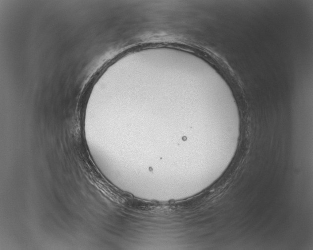 X0000076391167200611031648