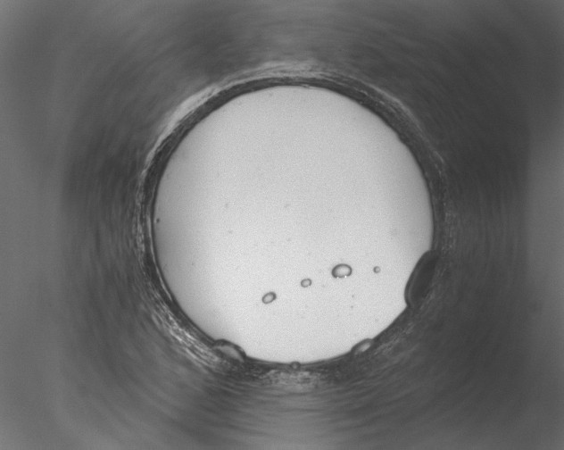 X0000076391168200611031647