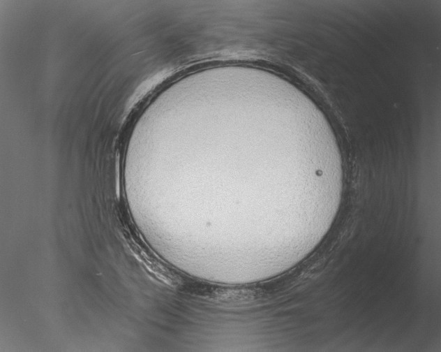 X0000076391171200611031647