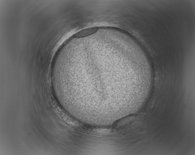 X0000076391173200611031647