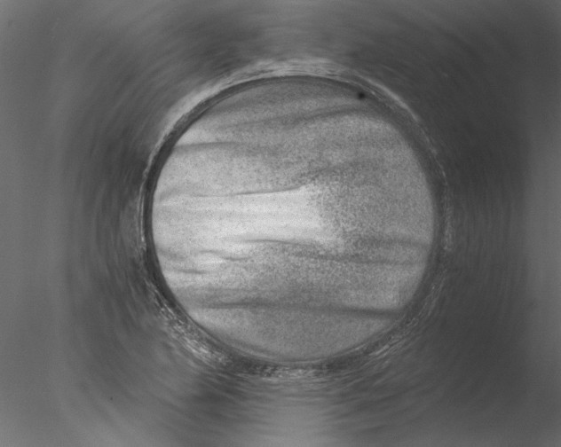 X0000076391174200611031647