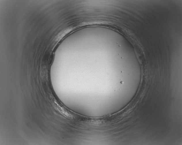 X0000076391177200611031647