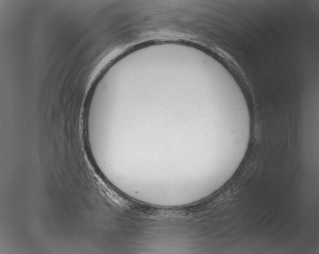 X0000076391183200611031647