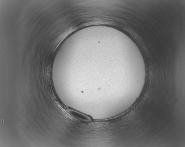 X0000076391185200611031647