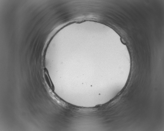 X0000076391200200611031647