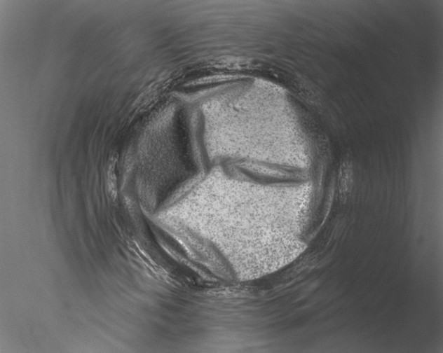 X0000076391202200611031646