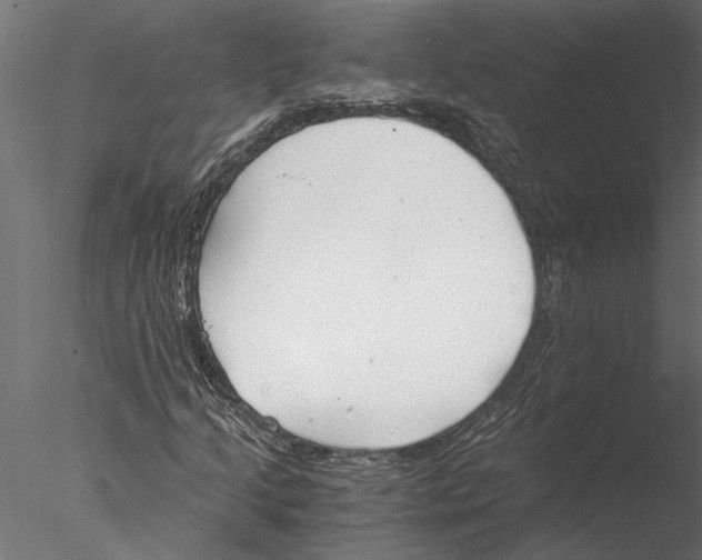 X0000076391205200611031646