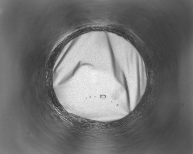 X0000076391208200611031646