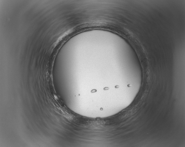 X0000076391210200611031646