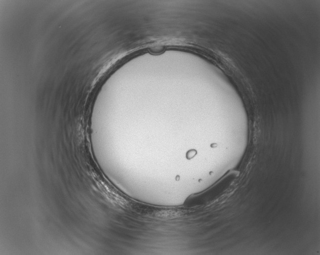 X0000076391212200611031646