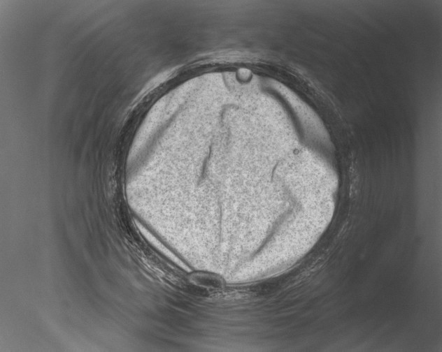 X0000076391213200611031646