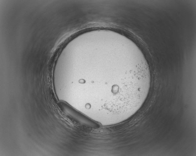 X0000076391215200611031646