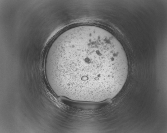 X0000076391216200611031646