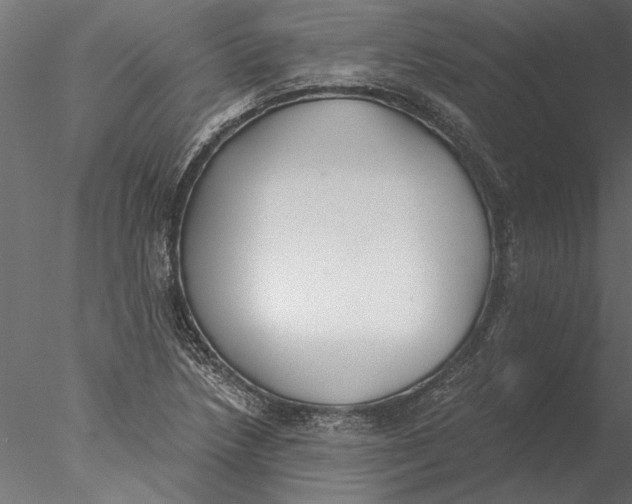 X0000076391218200611031646