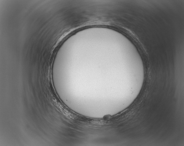 X0000076391220200611031646