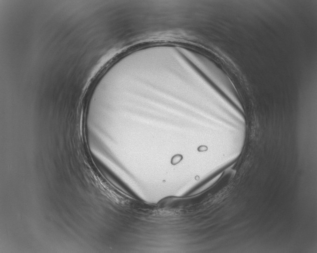 X0000076391224200611031647