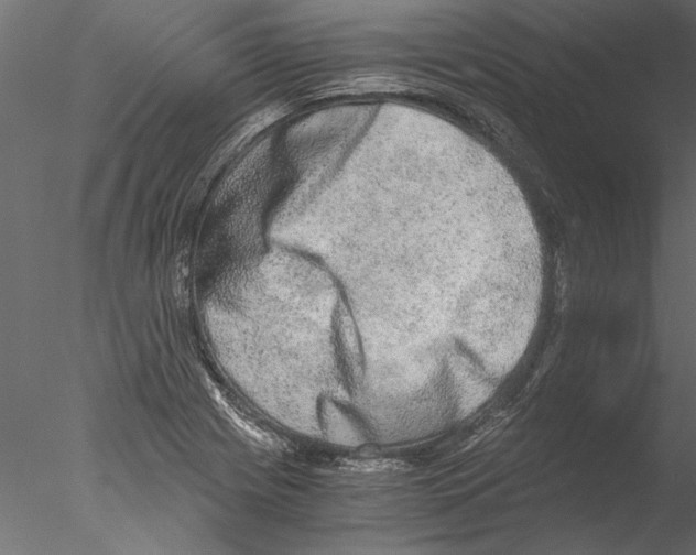 X0000076391225200611031647