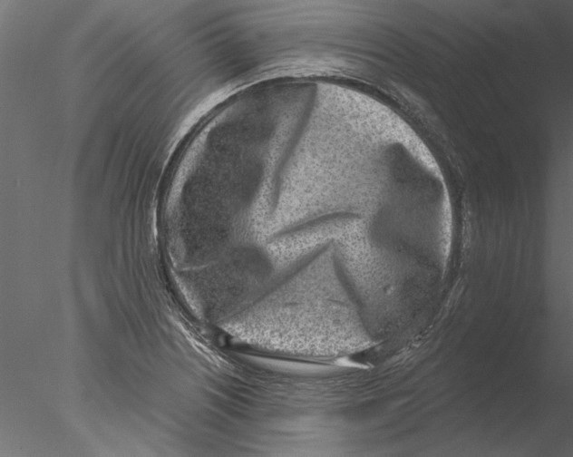 X0000076391226200611031647