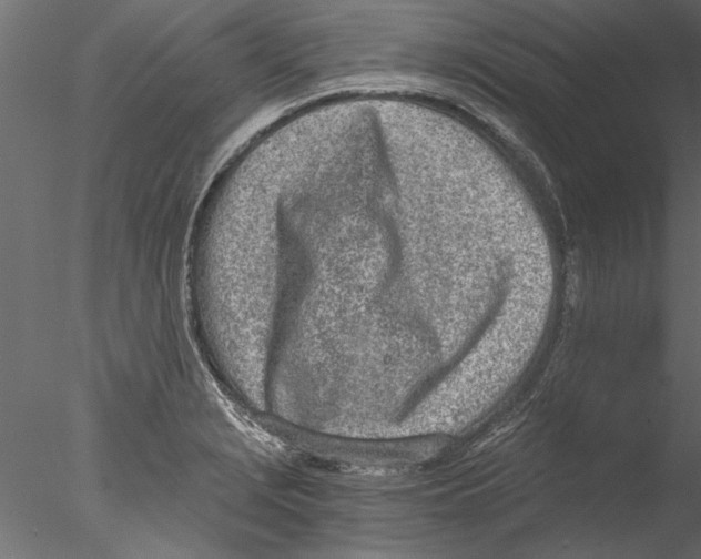 X0000076391229200611031647